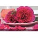 DECOROSIER® Purple voluptia®